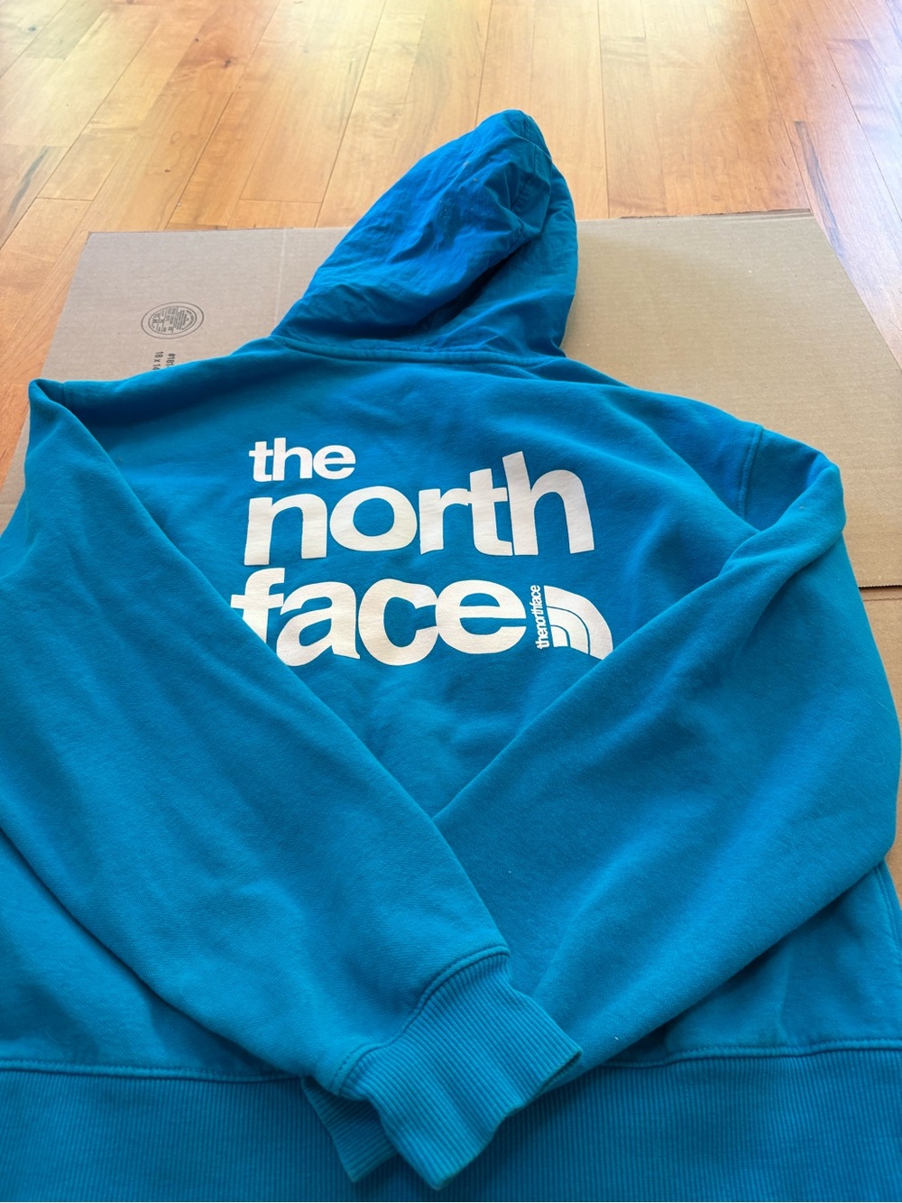 The North Face Teal Blue Logo Hoodie